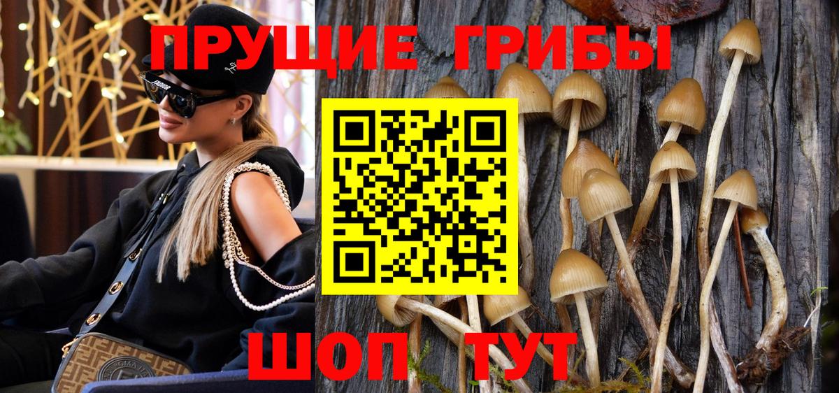 Галлюциногенные грибы мухоморы  Галлюциногенные грибы прущие грибы  Елизово  Вход с VPN 