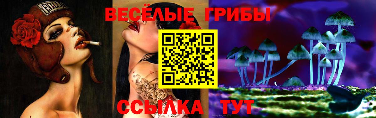 Псилоцибиновые грибы мухоморы Елизово