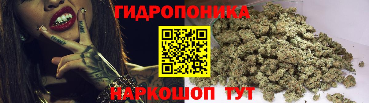 Бошки Шишки индика Елизово